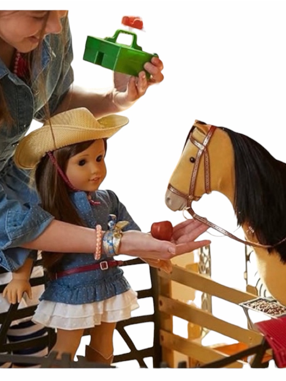 American Girl Western Horse 2017‎